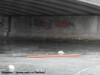 Imagine atasata: Bega - 2017.01.10 - 38.jpg